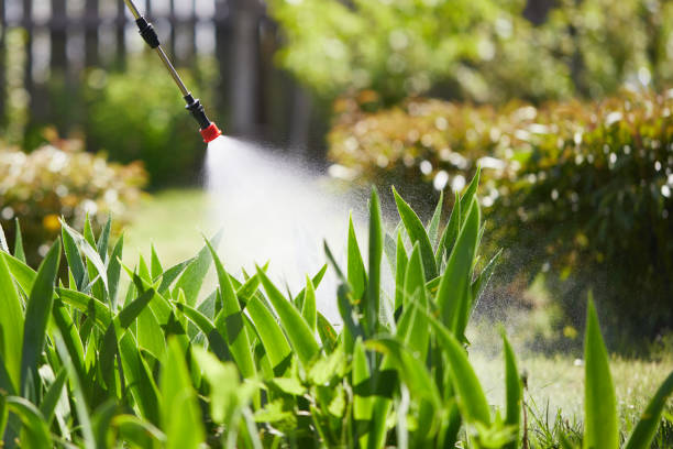 24/7 Emergency Mosquito Control experts in Parrish, AL